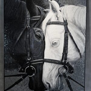 Black & White Legends